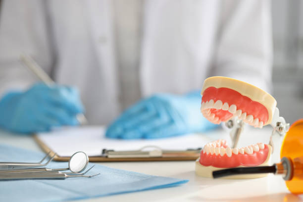 A 3D Model of teeth and gums sits next to dental equipment.